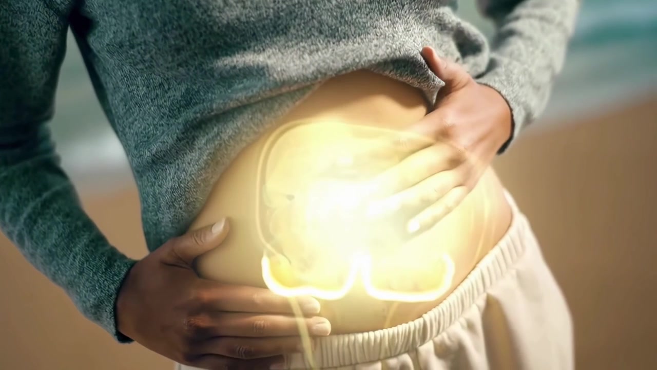 Conceptual Animation of Glowing Internal Organs in a Woman's Abdomen
