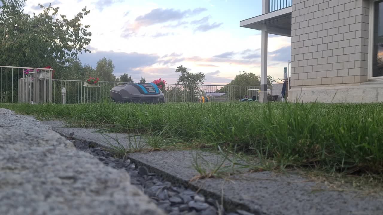 Robot lawn mover cuts long grass , video taken for low and close
