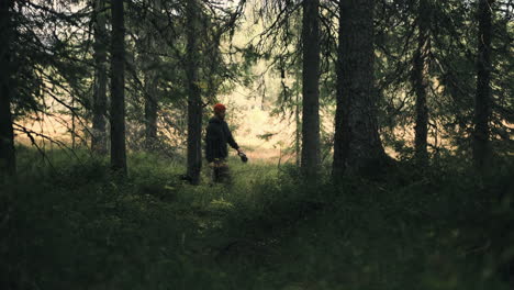 aerial front shot of men and a dog walking in the jungle