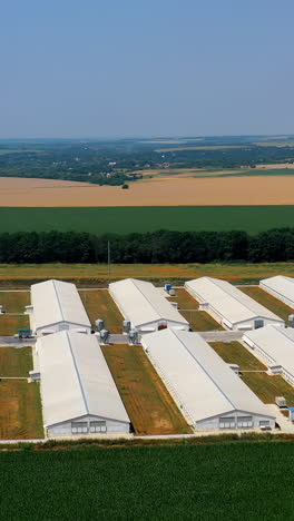 aerial view of agricultural buildings on the field. huge territory of manufacturing in nature. vertical video