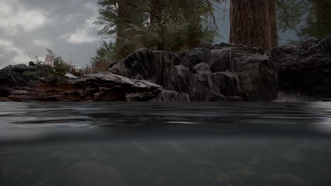 half underwater in northern sea with rocks