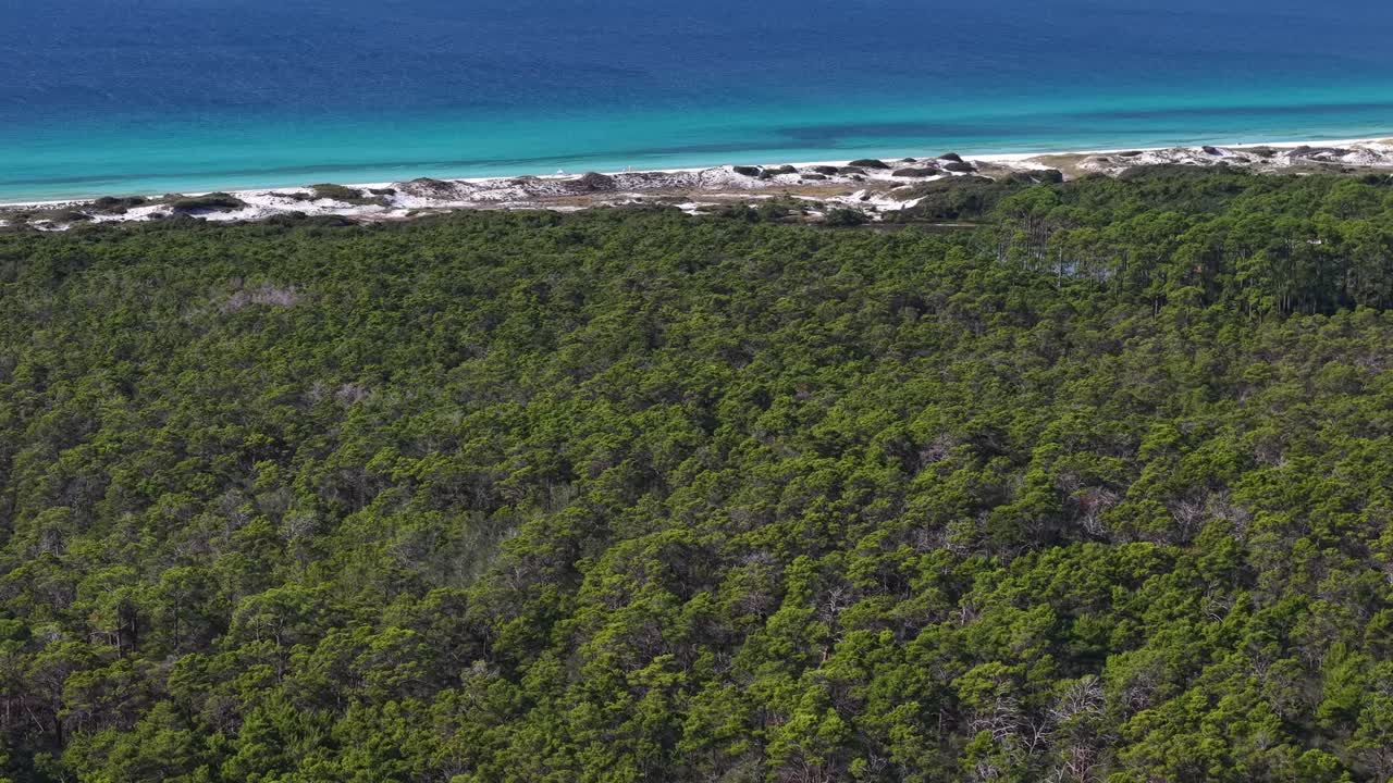 Tilted up drone fly at clear blue ocean meeting green coastal forest horizon, 30A, Florida, USA