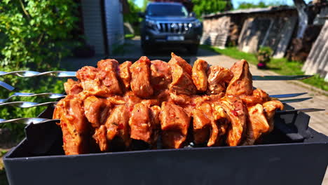 Close-up-shot-of-raw-marinated-delicious-chicken-pieces-put-on-an-outdoor-barbecue-grill-grate-on-a-sunny-day