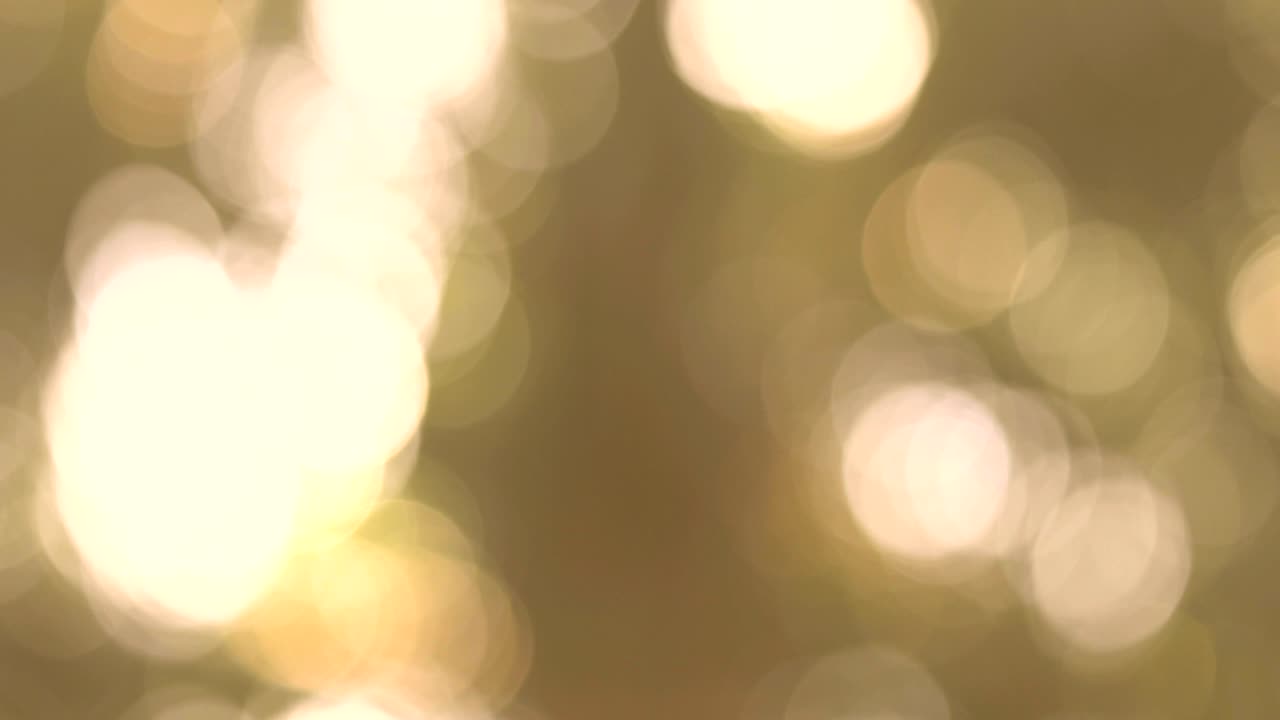 pan shot of abstract nature bokeh sun under the tree , 4k Dci resolution
