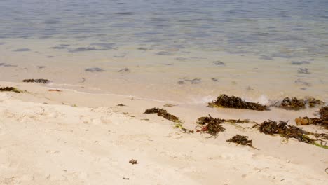 Wellen-Plätschern-An-Den-Strand-Von-St.-Agnes-Auf-Den-Scilly-Inseln