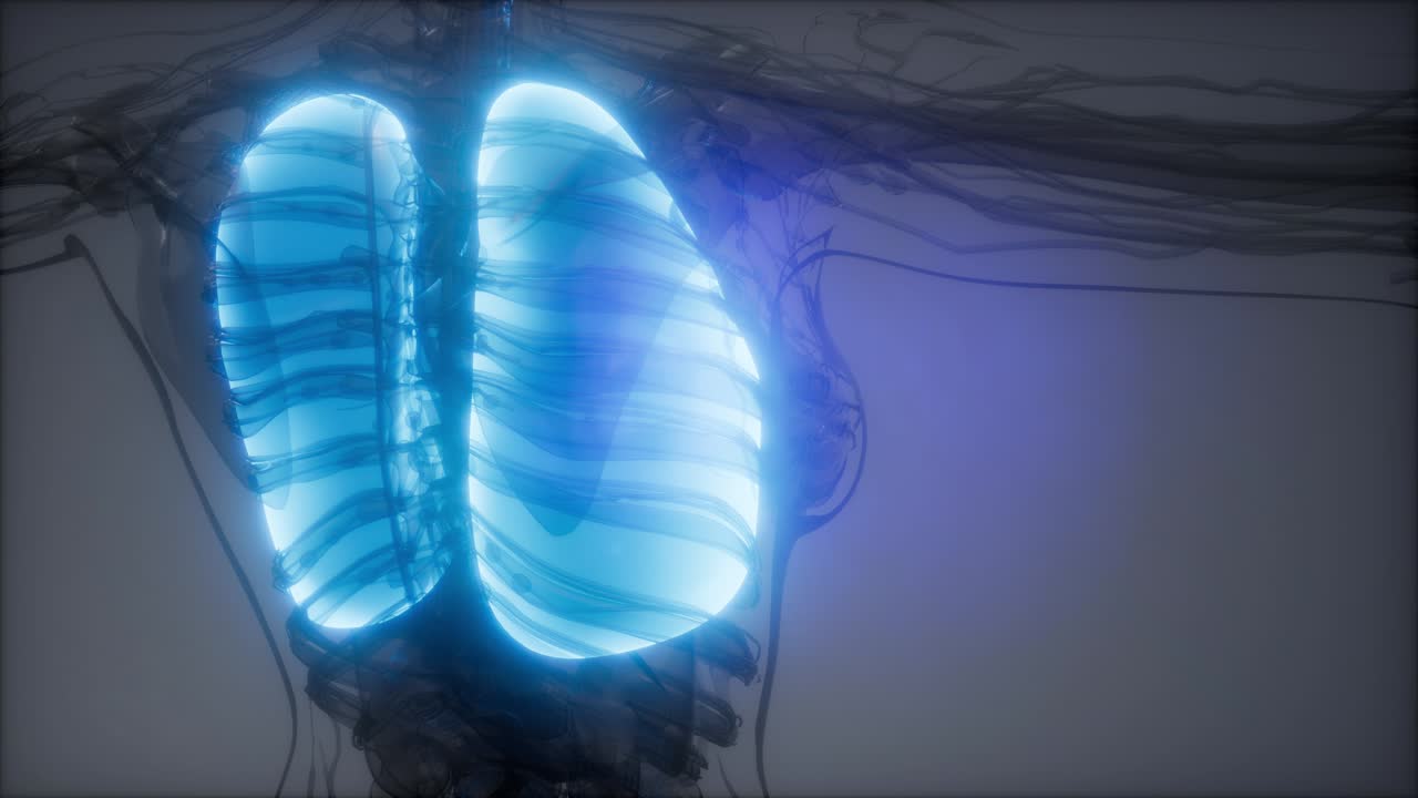 examen radiológico de los pulmones humanos
