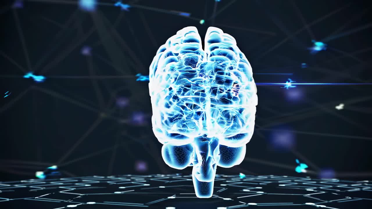 인간 뇌의 디지털 표현