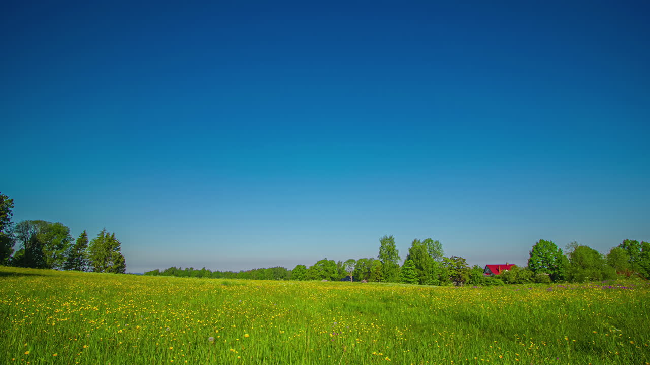 들판에 어두운 흐린 아침, 화창한 정오, 황금빛 일몰의 저속 촬영
