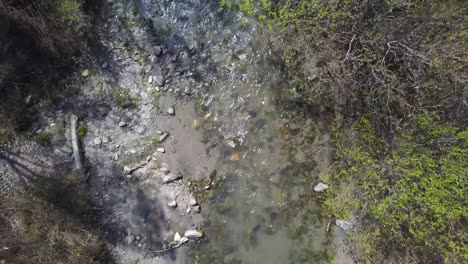 agua corriendo por un arroyo rocoso entre árboles en el bosque
