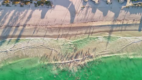 Hyperlapse-of-ocean-swimming-community-in-Perth-at-sunrise