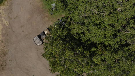 persona conduciendo atv con remolque cargado con cajas de productos frescos, toma aérea de arriba hacia abajo