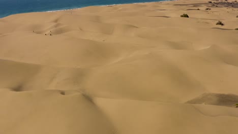 Vuelo-De-Drones-Sobre-Dunas-Y-Desierto-Con-Mar-Y-Playa,-Dunas-De-Maspalomas,-Gran-Canaria