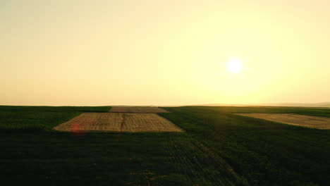 Yellow-sunflower-fields-among-green-patches-of-farmland