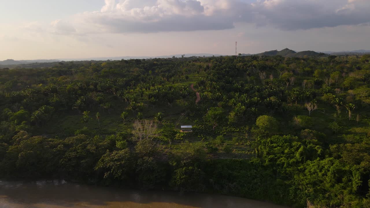 antena: comunidad remota de la selva en la orilla del río, tribu de la selva cerca del río