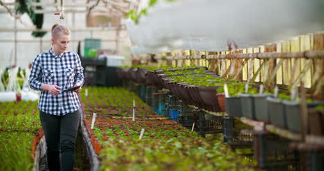 Female-Botanist-Using-Calculator-At-Greenhouse-4