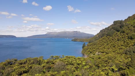 monte tarawera en la distancia visible detrás de un lago y su orilla, cubierto por numerosas palmeras y densos matorrales