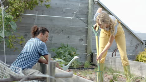 happy diverse couple working in garden and planting plants, slow motion