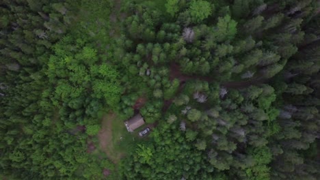 pan left of tree tops in pine forest with a frame cabin and car in nova scotia in canada during the day