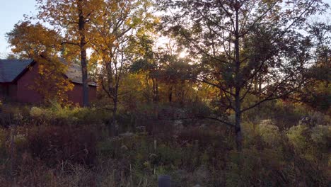 Wunderschöner-Sonnenuntergang-Mit-Der-Sonne,-Die-Durch-Eine-Herbstszene-Scheint