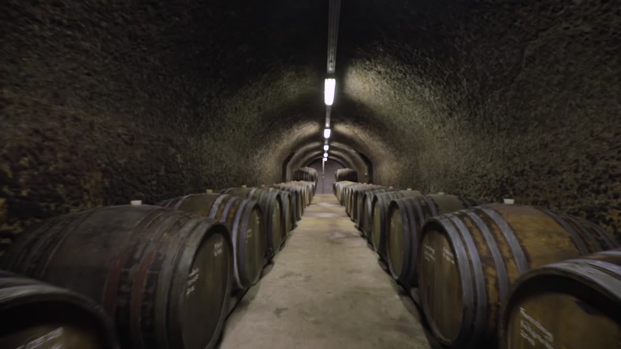 barriles de vino en un movimiento de avance de viñedo