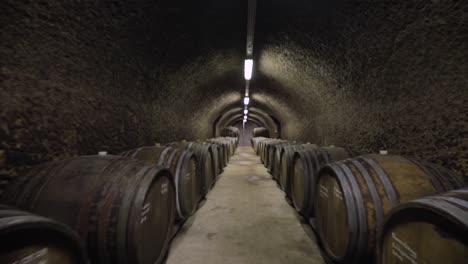 wine barrels in a vineyard forward movement