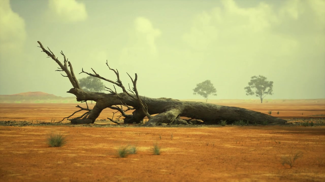 Verval en uithoudingsvermogen afgebeeld door een eenzame omgevallen boom aan de horizon.