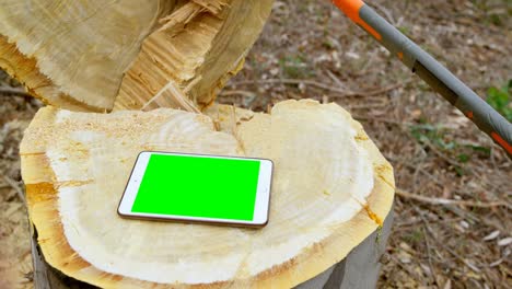 tableta digital en el tronco del árbol 4k