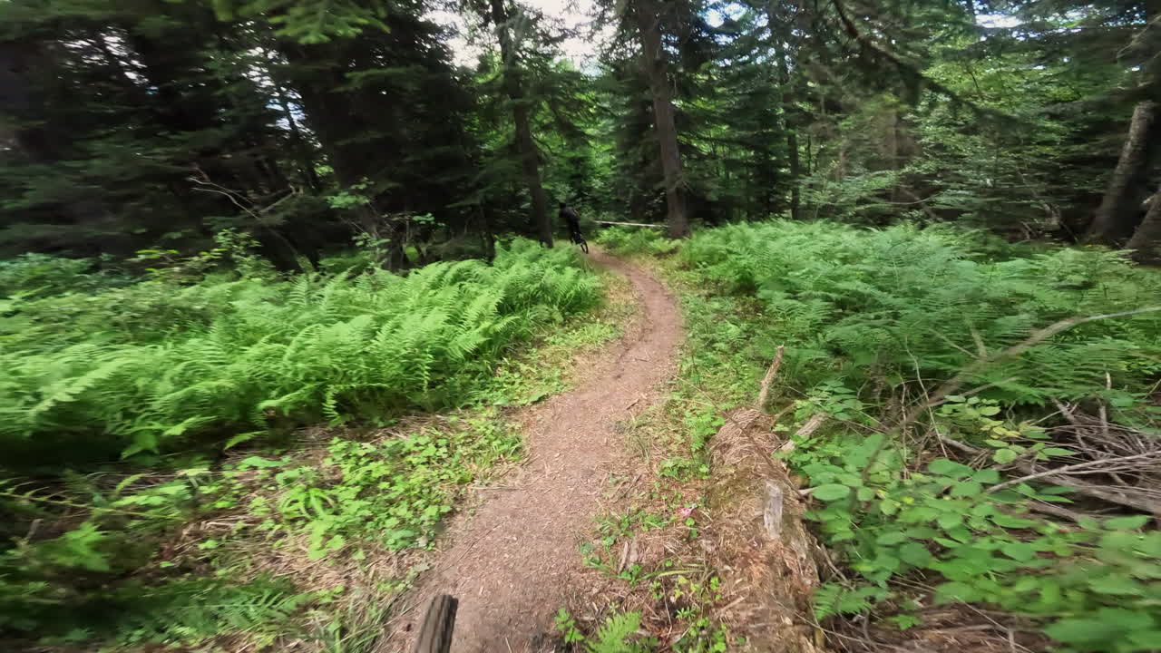 First Person View of Mountain Biking Down a Forest Trail