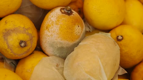 close-up of lemons with mold