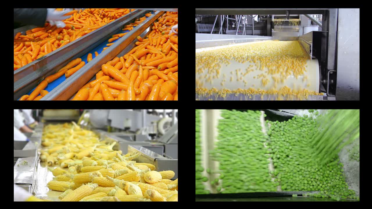 Vegetable processing in food industry, multi screen