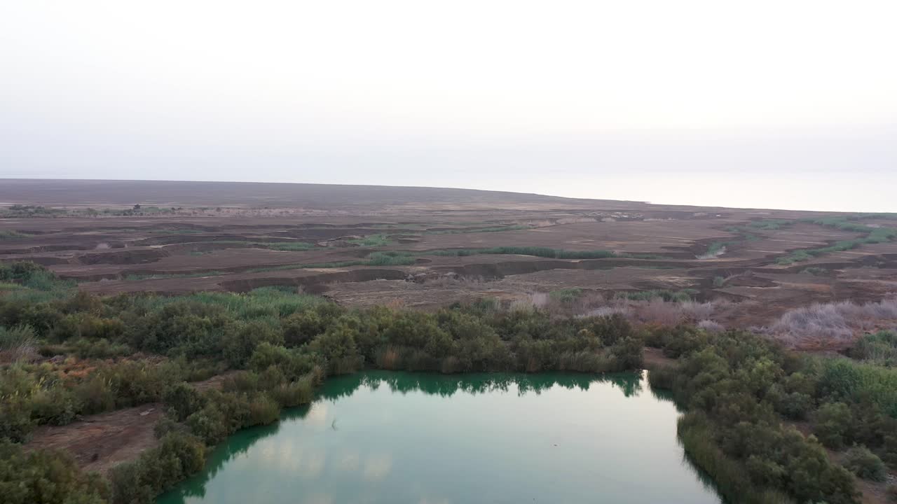 Volo aereo sopra una piscina quadrata circondata da vegetazione verde nel deserto di Israele