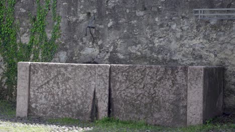 ancient stone trough against a stone wall