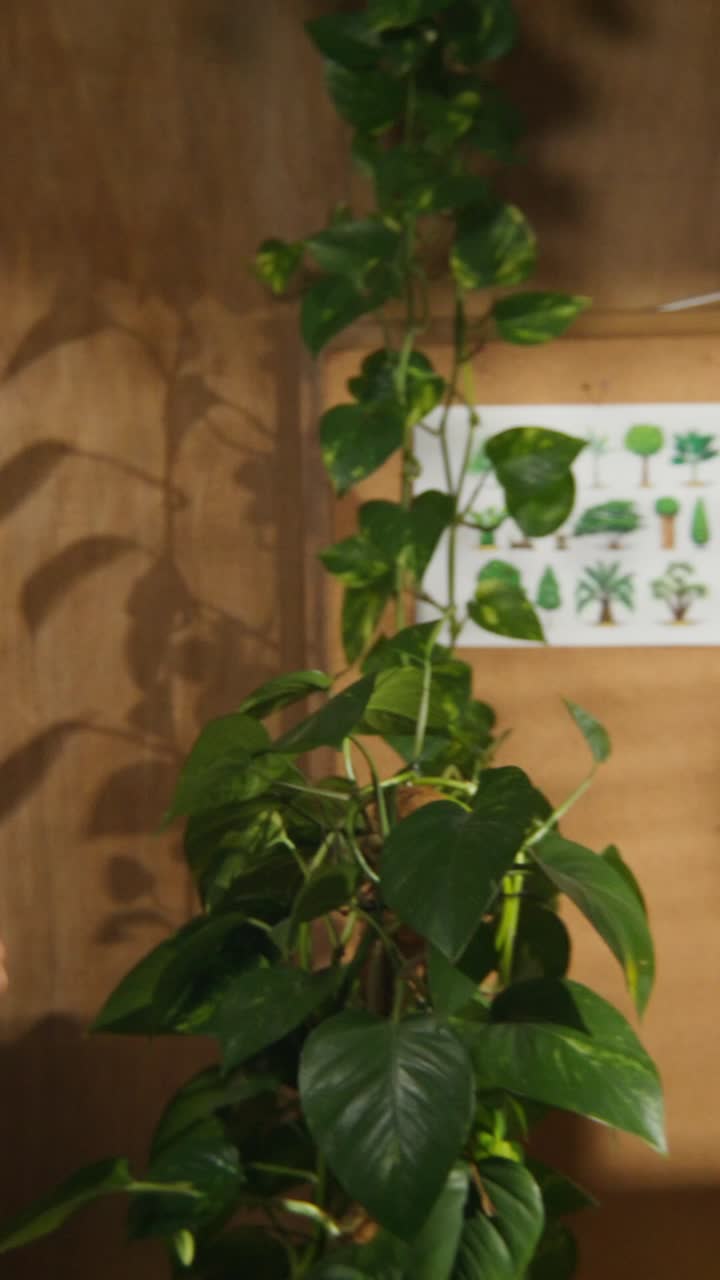 Dancing Friends in a Room with Plants