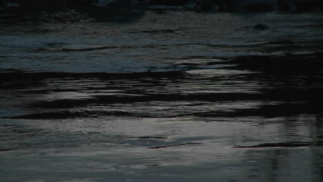 Light-reflecting-off-the-Ventura-River-and-the-sound-of-frogs-in-Oak-View-California