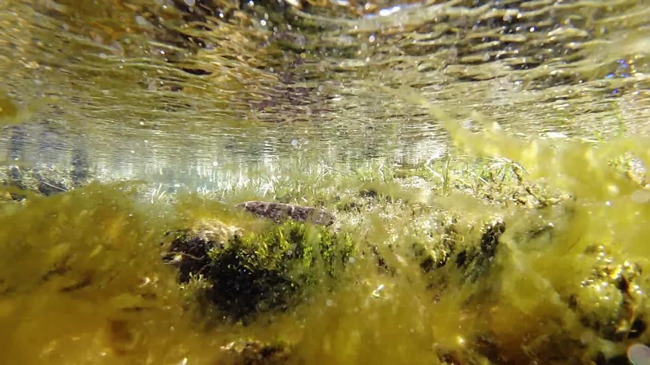 Camera diving under water. Slow motion footage from Pallas Yllästunturi national park, Finland.