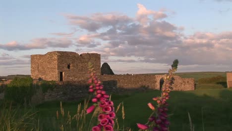 stock footage kinsale