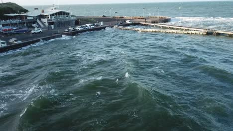 drone aerial over ocean melbourne wavy windy cloudy person swimming in ocean seagull flying