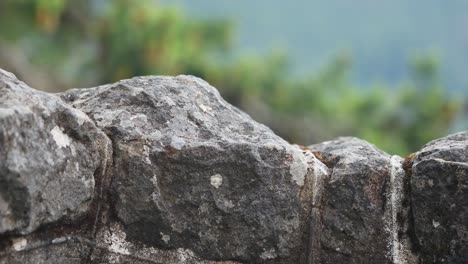 rugged top plate of the stone wall with a blurry background