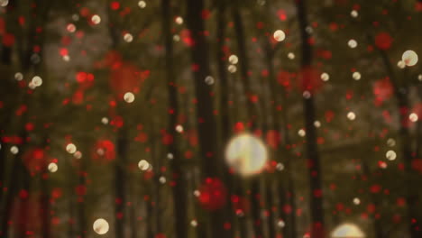 animation of white and red christmas flickering spots over forest in background