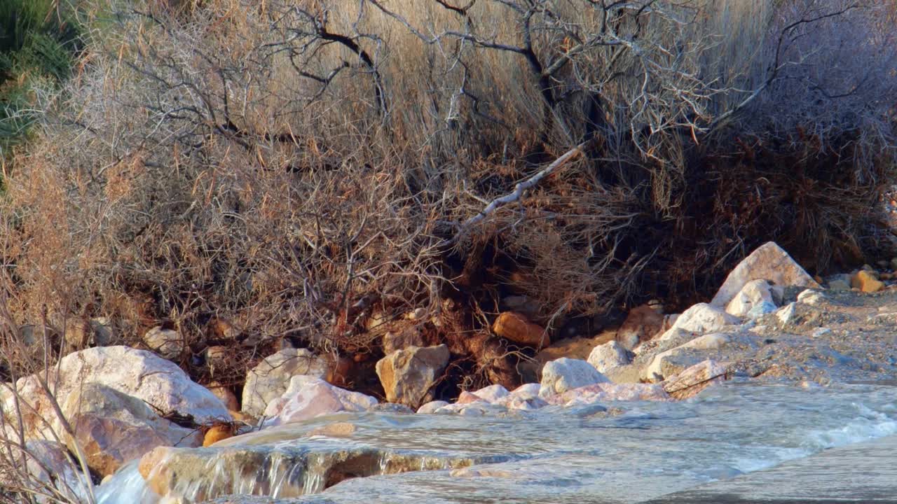 미국 남서부의 산줄기