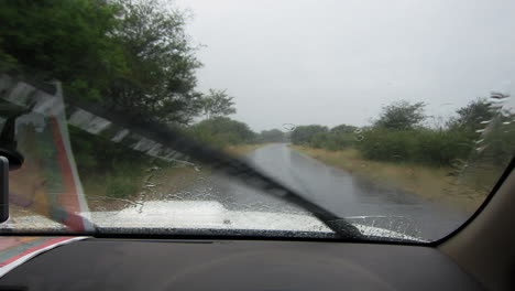 the view from inside a safari vehicle on the paved, tarred roads in and around the greater kruger national park while is was raining