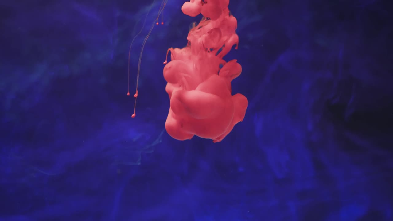 video en cámara lenta de tinta de acuarela rosa mezclándose en agua contra un fondo azul