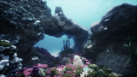 underwater coral reef cave