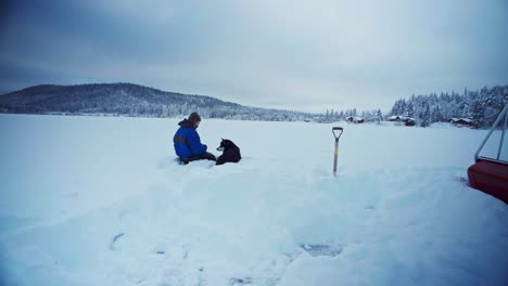 man feeding alaskan malamute dog in snowscape countryside of trondheim, norway