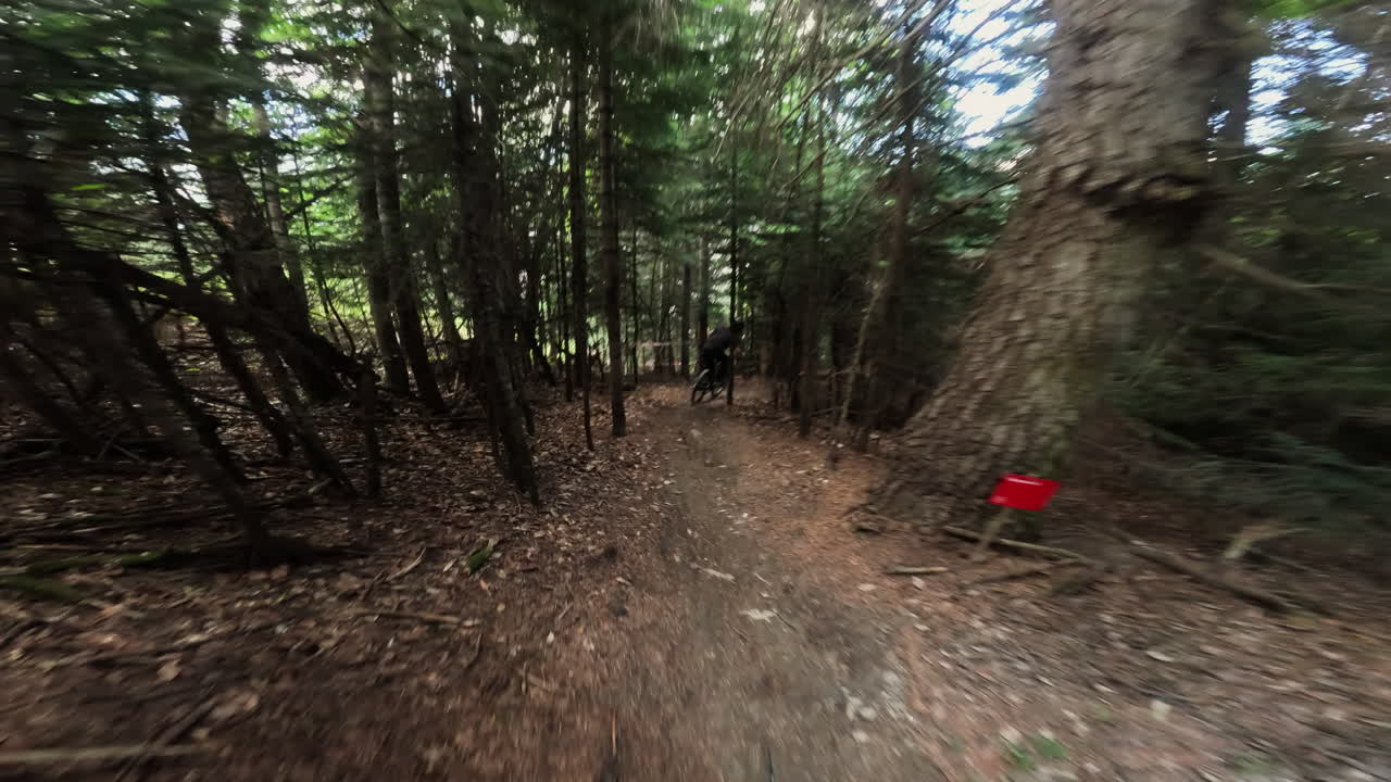 POV: Mountainbiking ned ad en udfordrende skovsti