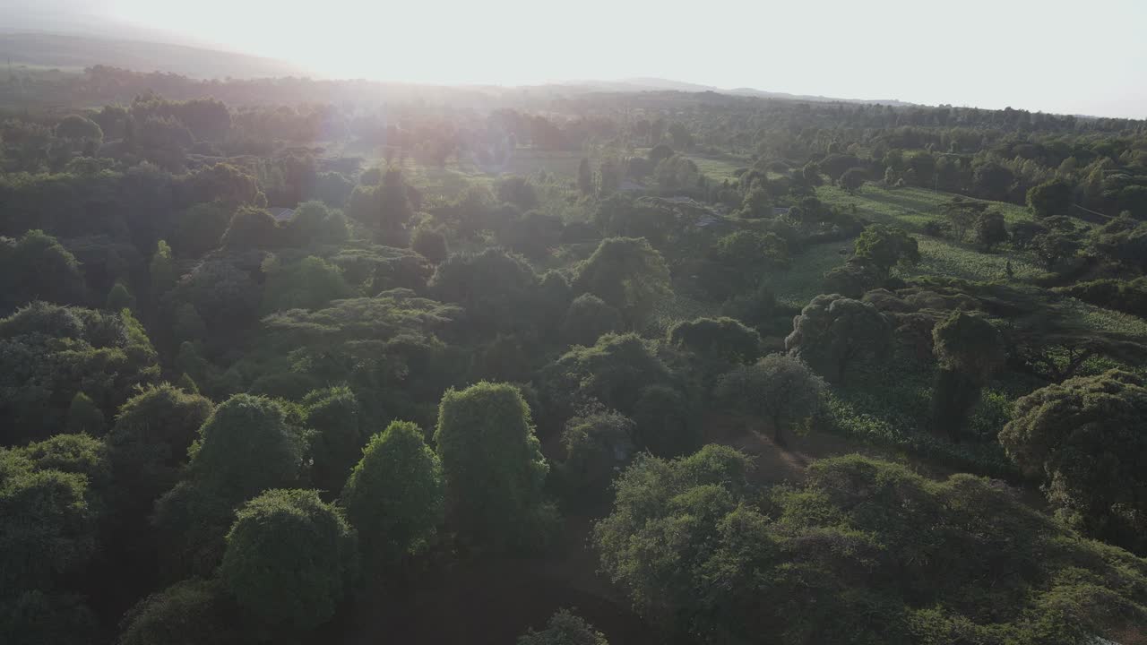 Sunset over lush green tropical forest at footstep of Mount Kilimanjaro, Kenya, Africa, aerial view