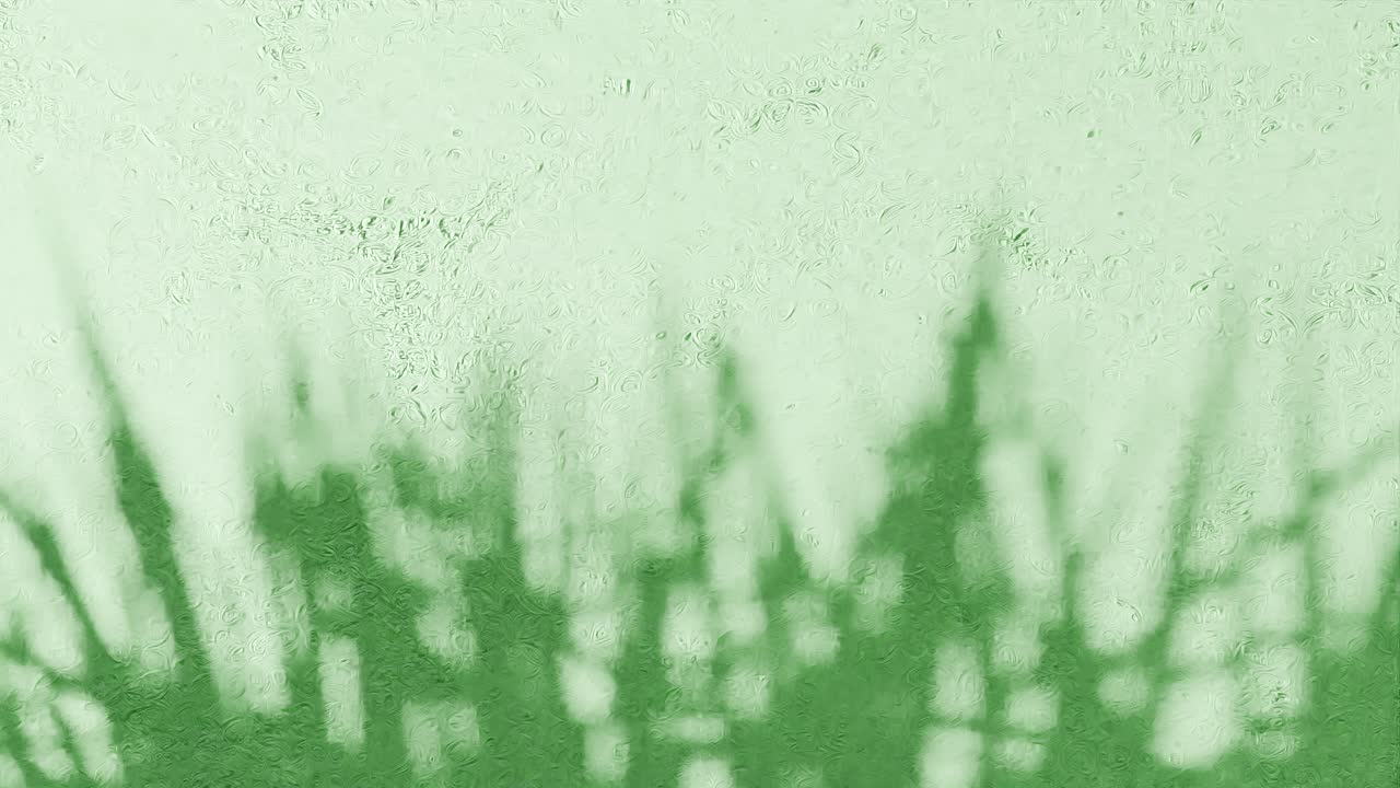 Grass blades shadow on textured green wall. Nature silhouette concept