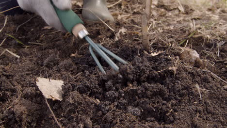 close-up view of the hands of an activist plowing the land around a tree in the forest