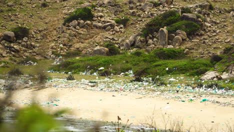 playa de arena blanca rodeada de desechos plásticos