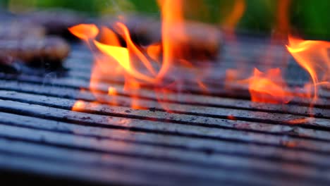 Fleischbällchen-Werden-Vom-Grill-Genommen